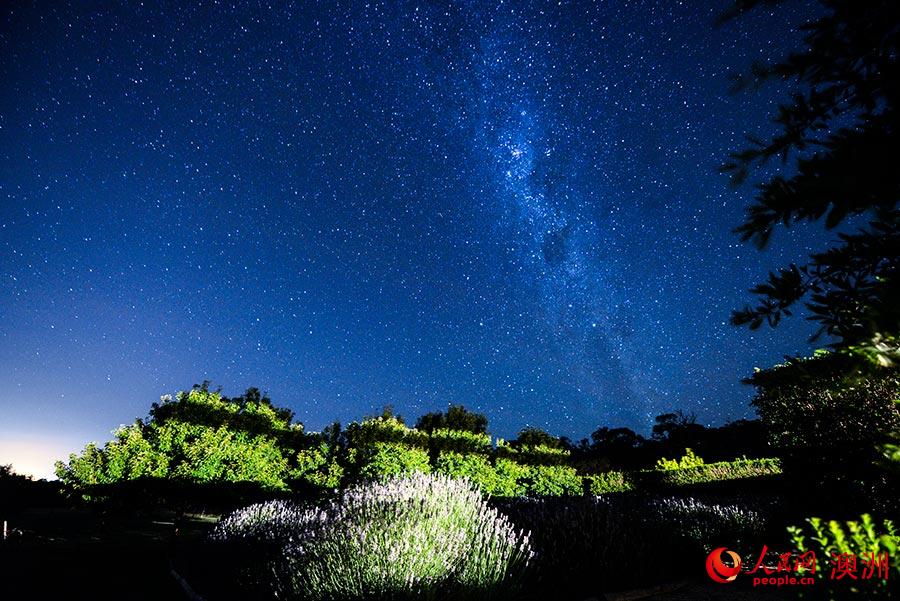 南半球度假農莊絕美星空（攝影 趙鐸）